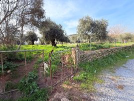 Sahibinden İmar İçinde Bodrum Yoluna 100 Metre Emsali Yok