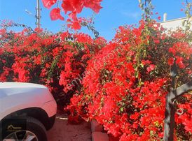 Koyunbaba'da Deniz Manzaralı, Denize Yürüme Mesafesi 3+1 Villa