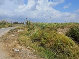 New Form'dan Tarsus Hacıbozan'da 9400 M2 Satılık Tarla