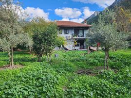 Köyiçi İmarlı Büyük Arazi İçerisinde Ev