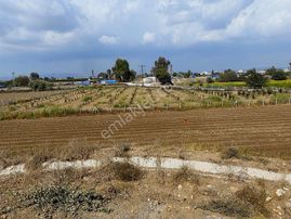 New Form'dan Çukurova Havalimanı Yolunda 3858 M2 Satılık Tarla