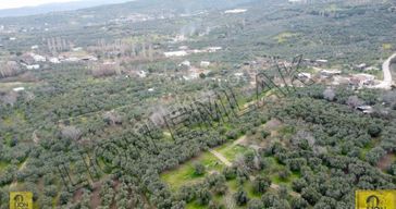 Erdek Yukarıyapıcı Düzler Mevkiinde Satılık 718m² Tarla