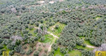 Erdek Yukarıyapıcı Düzler Mevkiinde Satılık 718m² Tarla