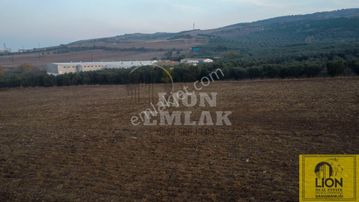 Edincik'de Plaja Çok Yakın Her Türlü Yapılaşmaya Uygun 40.738m² Satılık Tarla