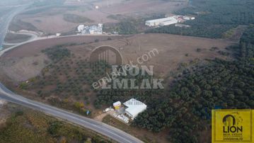 Edincik'de Plaja Çok Yakın Her Türlü Yapılaşmaya Uygun 40.738m² Satılık Tarla