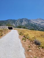 Goldhouse Dan Satılık Karaağaç Kozağacı Nda Deniz Manzaralı Tarla