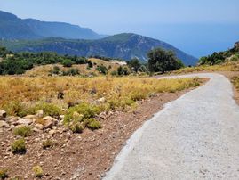 Goldhouse Dan Satılık Karaağaç Kozağacı Nda Deniz Manzaralı Tarla