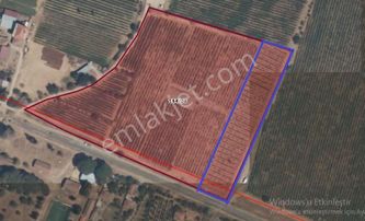 Yuvam Gayrimenkul'den Salihli Yeşilkavak Mah.6000 M2 Satılık Hisseli Zeytinlik