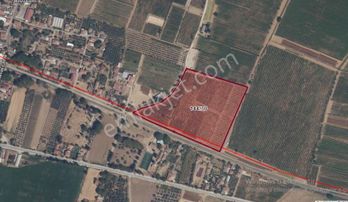 Yuvam Gayrimenkul'den Salihli Yeşilkavak Mah.6000 M2 Satılık Hisseli Zeytinlik