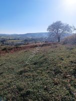 Atakum Sarı Taşda Satılık Acil Tarla