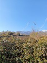 Atakum Sarı Taşda Satılık Acil Tarla