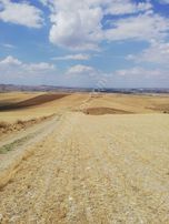 Karapazar Da Satılık Tam Parsel