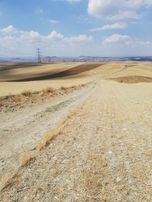 Karapazar Da Satılık Tam Parsel