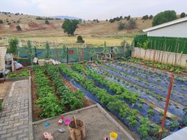 Meram/erenkaya 349m2 Kurulu Düzen(elektrik-su)hazır Satılık Bahçe