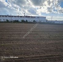 Tekirdağ Çorlu Şahpaz Mah.satılık 4.100 M2 Tarla