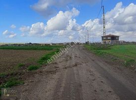 Tekirdağ Çorlu Şahpaz Mah.satılık 4.100 M2 Tarla