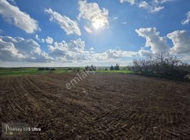 Tekirdağ Çorlu Şahpaz Mah.satılık 2.500 M2 Bağ Yeri