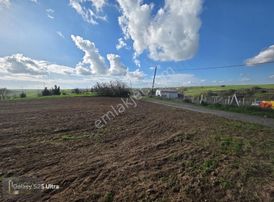 Tekirdağ Çorlu Şahpaz Mah.satılık 2.500 M2 Bağ Yeri