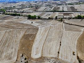 Satılık Duruçay Köyü Anayola Merkeze Yakın 7814 M² Tarla