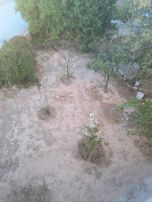 Efdal'den Mükemmel Konumda 3+1 Meyve Ağaçlı Daire