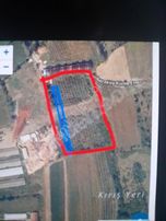 Bsm Emlaktan Satılık Fındık Tarlasi