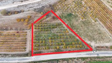 Honaz Ayva Bahçesi 3200m²