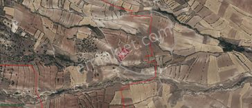 Mevsim Gayrimenkulden Kalkantepede Resmi Yolu Olan Satılık Tarla