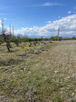 Deniz Acıpayam Kumafşarı Fırsat Arazi...