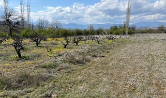 Deniz Acıpayam Kumafşarı Fırsat Arazi...