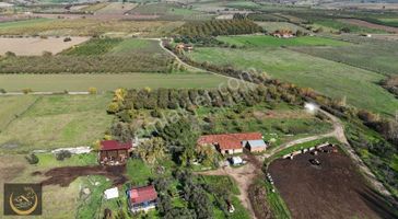 Çanakkale Bayramiç Merkez Satılık Tarla
