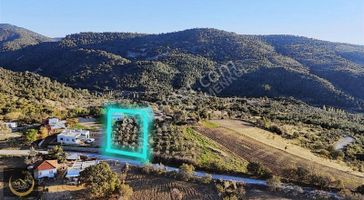 Çanakkale Ayvacık Kösedere Köyünde Satılık Müstakil Ev