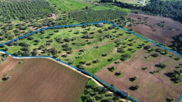 Ezine Üvecik Köyünde 50000 M2 Satılık Tarla Han Emlak'tan