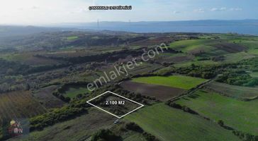 Çardak'ta Kadastral Yollu, Denize Yakın 2.100 M² Fırsat Arazi!