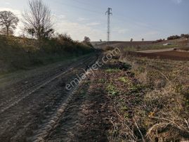 Yenişehir Günecede Kelepir Tarla