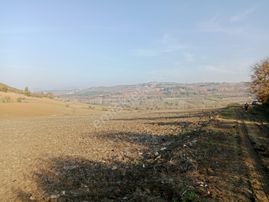 Yenişehir Günecede Kelepir Tarla