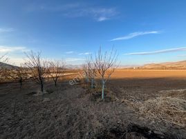 Öz Gaye Emlaktan Develi Tombak Mahallesinde Satılık Tarla