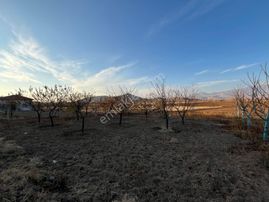 Öz Gaye Emlaktan Develi Tombak Mahallesinde Satılık Tarla