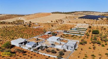 Suboğazı Sınırı Herşeyi Hazır Bağ Evi Şehre 10 Dk Resmi Yol Var