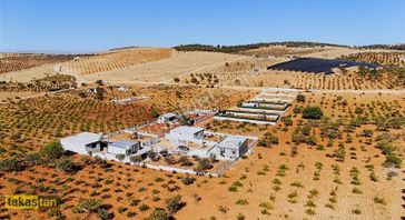 Beykent Arkası Suboğazı Sınırı Asfalt Yolu Mevcut Şehre 10 Dk