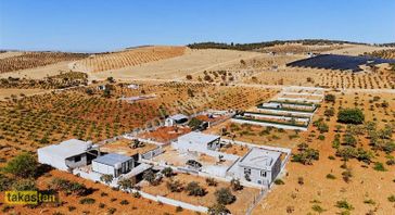 Beykent Arkası Suboğazı Sınırı Asfalt Yolu Mevcut Şehre 10 Dk