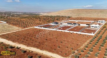 Suboğazı Uygun Fiyatlı İster Bağevi İster Yatırım Manzaralı Konm