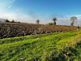 Tekkeköy Köprübsşında Satılıktarla