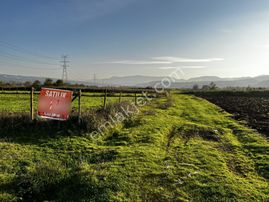 Tekkeköy Köprübsşında Satılıktarla