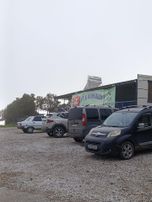 Bozalan Köyünde 3 Parça Müstakil Tapulu Verimli Zeytinlik Satılık