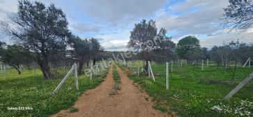 Emlak Durağı'ndan Dereköy'de 2835 M² Tarla