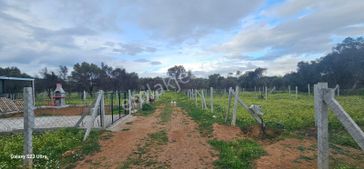 Emlak Durağı'ndan Dereköy'de 2835 M² Tarla