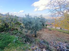 Satılık Yatırımlık Köy İmarlı Arsa