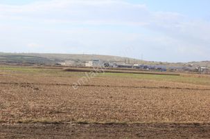 Bursa Karacabey Tophisar 6750 M2 Tarla