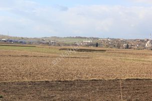 Bursa Karacabey Tophisar 6750 M2 Tarla