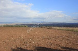 Bursa Karacabey Danişment Asfalt Yola 50 Metre Mesafede Tarla